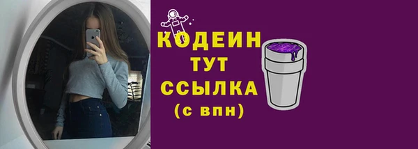 СК Каменка