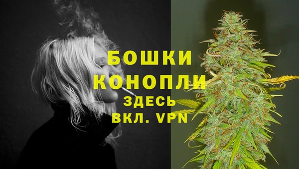 ешки Инсар