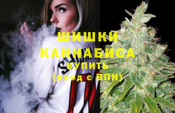 СК Каменка